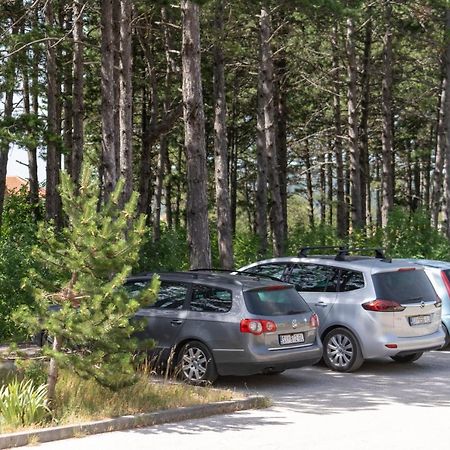 Apartman Curcic Knin Εξωτερικό φωτογραφία