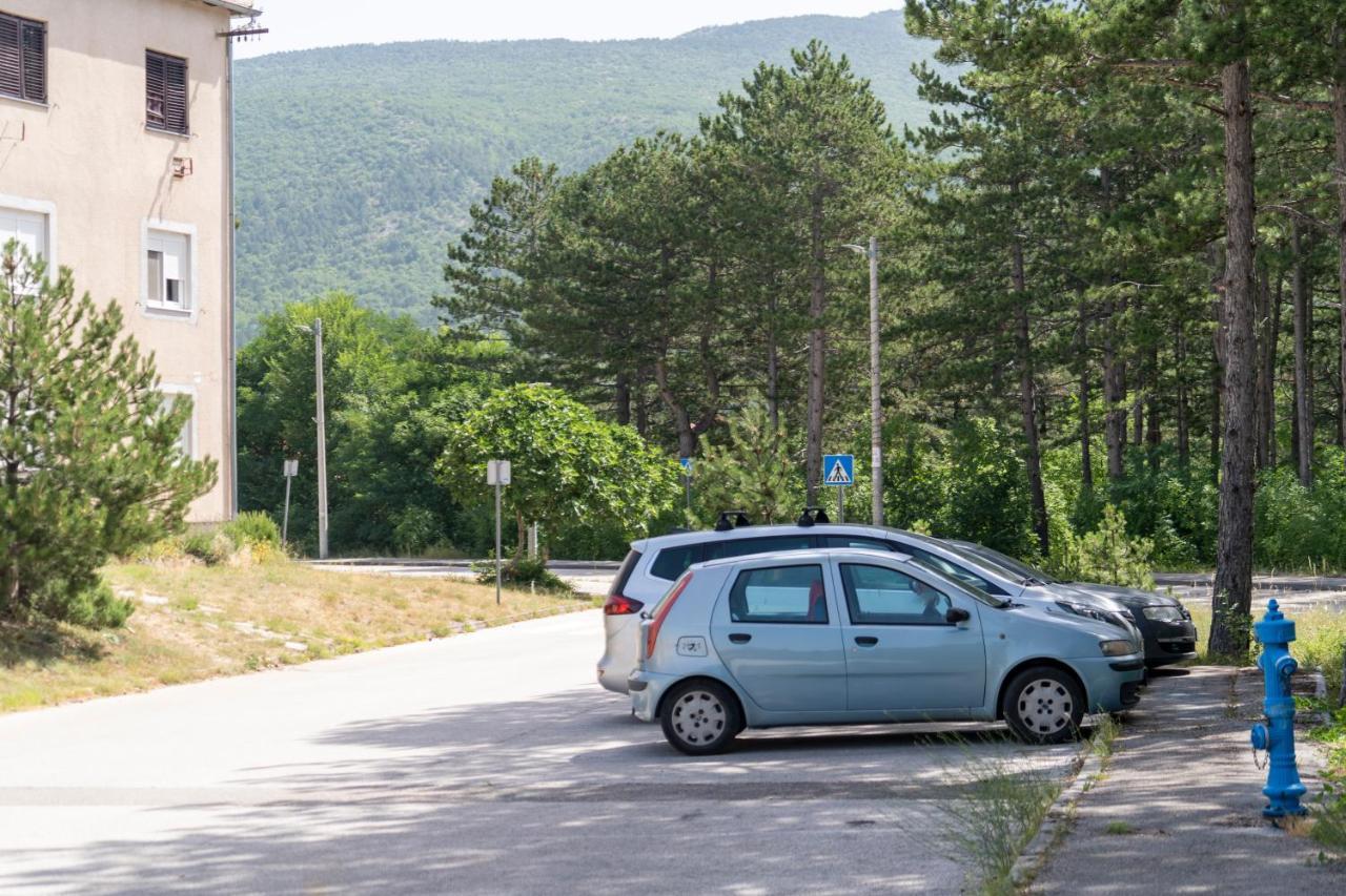 Apartman Curcic Knin Εξωτερικό φωτογραφία